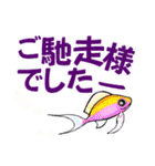 小笠原.ダイビング・魚.大文字（個別スタンプ：28）