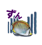 小笠原.ダイビング・魚.大文字（個別スタンプ：33）