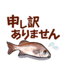 小笠原.ダイビング・魚.大文字（個別スタンプ：35）