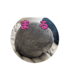 ぐーたんぷう（個別スタンプ：7）