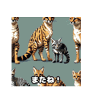 動物の日常スタンプ2（個別スタンプ：8）