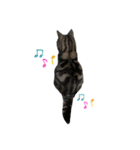 キュートなちろスタンプ（個別スタンプ：14）