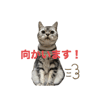 キュートなちろスタンプ（個別スタンプ：27）