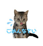 キュートなちろスタンプ（個別スタンプ：39）