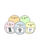 カラーぴよこ（個別スタンプ：1）