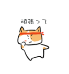 猫さんの優しい一日 (JP)（個別スタンプ：3）