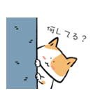 猫さんの優しい一日 (JP)（個別スタンプ：13）