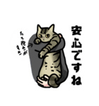 くろねこ＆きじとら（個別スタンプ：18）