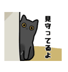 くろねこ＆きじとら（個別スタンプ：31）