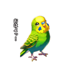 方言インコ 関西弁2（個別スタンプ：5）