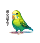 方言インコ 関西弁2（個別スタンプ：17）