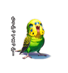 方言インコ 関西弁2（個別スタンプ：21）