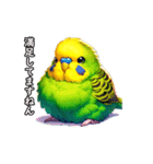 方言インコ 関西弁2（個別スタンプ：24）