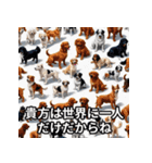 愛犬達のメッセージ 16種の可愛いワンコ（個別スタンプ：13）