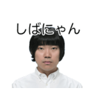 しばにゃんスタンプ vol.3（個別スタンプ：2）