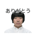 しばにゃんスタンプ vol.3（個別スタンプ：3）