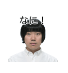 しばにゃんスタンプ vol.3（個別スタンプ：7）