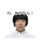 しばにゃんスタンプ vol.3（個別スタンプ：9）