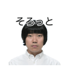 しばにゃんスタンプ vol.3（個別スタンプ：17）