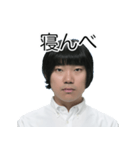 しばにゃんスタンプ vol.3（個別スタンプ：31）