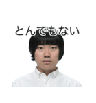 しばにゃんスタンプ vol.3（個別スタンプ：36）