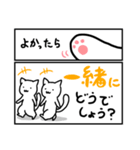 2コマンガねこde丁寧に伝えるスタンプ（個別スタンプ：5）