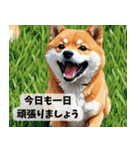 まんまるドット柴犬（個別スタンプ：11）