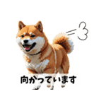 まんまるドット柴犬（個別スタンプ：19）