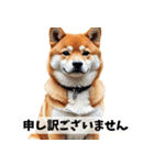 まんまるドット柴犬（個別スタンプ：24）