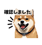 まんまるドット柴犬（個別スタンプ：38）