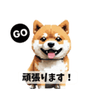 まんまるドット柴犬（個別スタンプ：40）