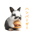 今日は「ぴょんバーガー」にする？（個別スタンプ：1）