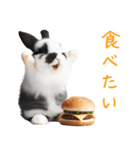 今日は「ぴょんバーガー」にする？（個別スタンプ：2）