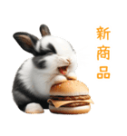 今日は「ぴょんバーガー」にする？（個別スタンプ：8）