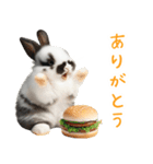 今日は「ぴょんバーガー」にする？（個別スタンプ：9）