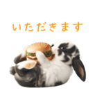 今日は「ぴょんバーガー」にする？（個別スタンプ：10）