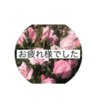 薔薇公園（個別スタンプ：2）