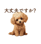 敬語☆トイプードルの子犬スタンプ（個別スタンプ：22）