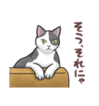 ぶち猫（白黒猫）スタンプ【常用】（個別スタンプ：7）