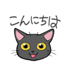 黒猫B生活（個別スタンプ：3）