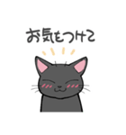 黒猫B生活（個別スタンプ：7）