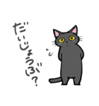 黒猫B生活（個別スタンプ：16）