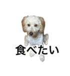 HIME 〜ひめ〜 Ver.4（個別スタンプ：17）