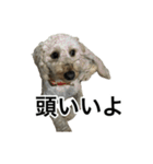 HIME 〜ひめ〜 Ver.4（個別スタンプ：20）