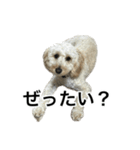 HIME 〜ひめ〜 Ver.4（個別スタンプ：24）