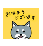 黒柴さん敬語スタンプです（個別スタンプ：1）