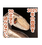 【祝・2025年】あけおめ蛇スタンプ【巳年】（個別スタンプ：12）