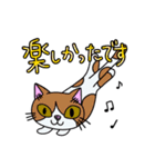 Cat 敬語スタンプ（個別スタンプ：10）