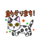 Cat 敬語スタンプ（個別スタンプ：11）