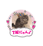 Gattoスタンプ（個別スタンプ：2）